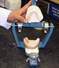 The articulator mimics the movements of the upper and lower jaw and is used to hold the the patient's dental impression as shown.