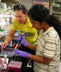 Angela shows a new colleague how to load and run an agarose gel.