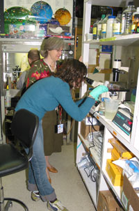 Elise Kohn and JoAnne Czechowicz examine cells under the microscope.