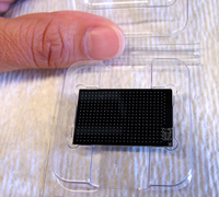 Faith holds a Sequenom SpectroCHIP that contains 384 genotyping samples which will be analyzed by mass spectrometry.