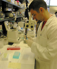 Jason carefully measures out a sample using a micropipette