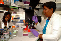 Dr. Cyriaque working with one of her colleagues in her research laboratory.