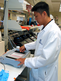 Joel sets-up an electrophoresis apparatus, which separates DNA on a gel.
