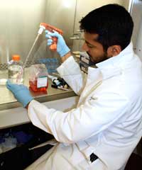 Kedar prepares donor cells for exposure to HIV in a study on the mechanisms of viral transmission.