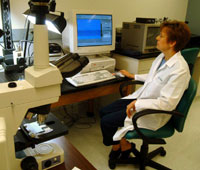 Mary Walker uses a computer-based software analysis program to measure the dimensional accuracy of a dental biomaterial.