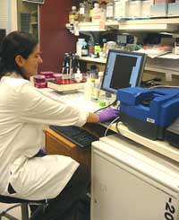 Patricia Diaz uses microarray technology to study gene expression.