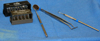 Instruments typically used for a dental exam (left to right): dental burs, mirror, cotton forceps, and perio probe.