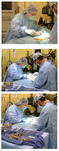 Tanya B. performs surgery.