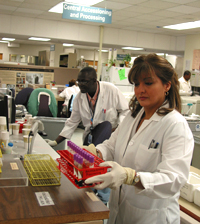 Vivian picks up patient samples that require testing in the Immunology section at the accessioning area of the Department of Laboratory Medicine.